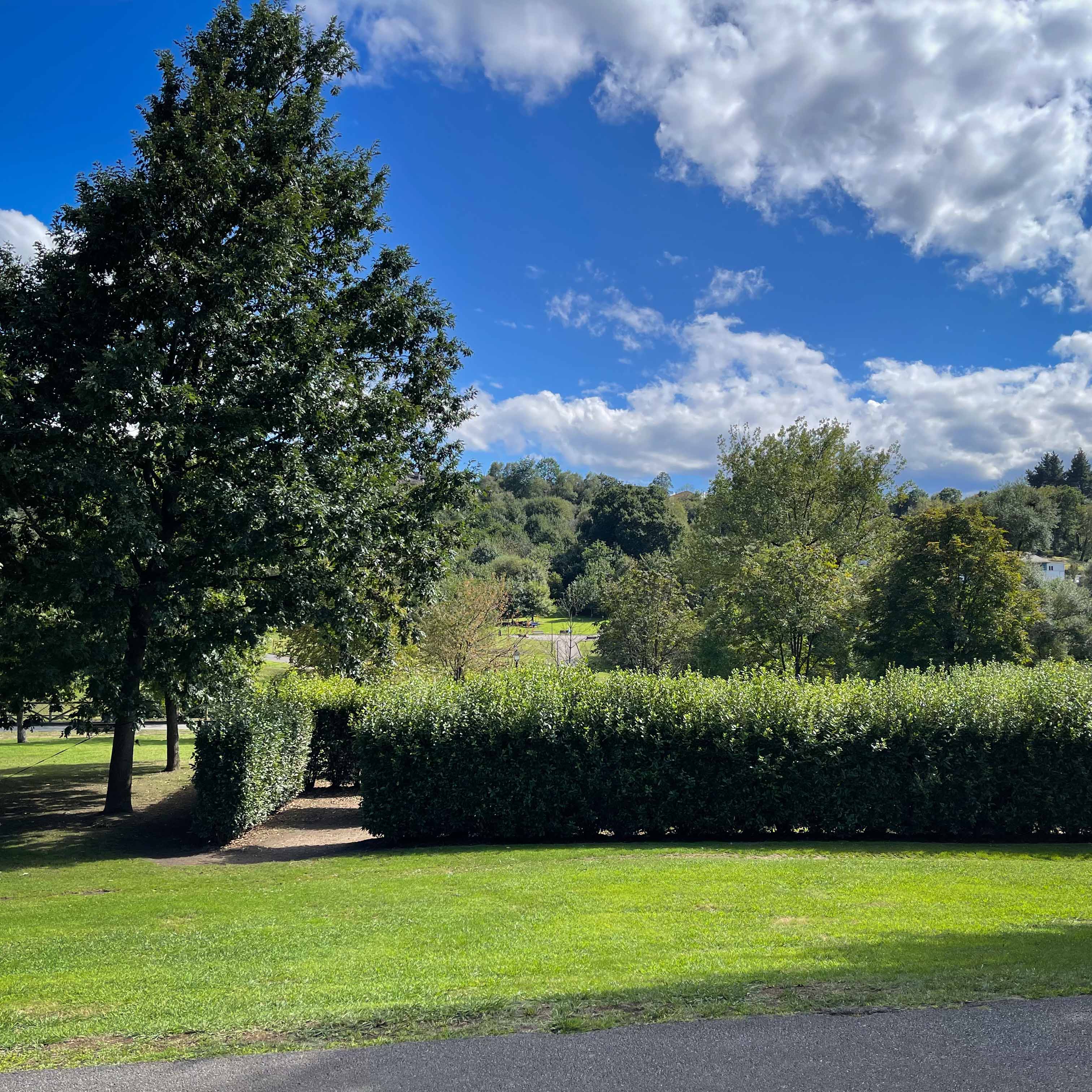 vista lateral de la entrada del laberinto de laureles del parque